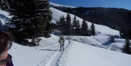 naturhotel-urlaubsfotos-winter-2012-2201--2601 bild#88