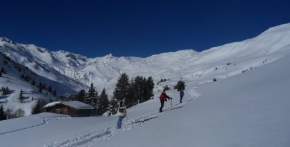 naturhotel-urlaubsfotos-winter-2012-2201--2601 bild#91