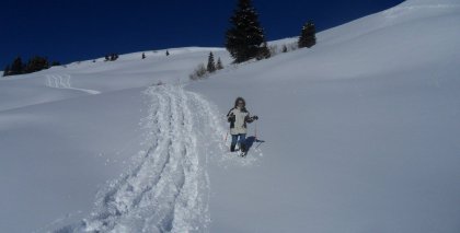 naturhotel-urlaubsfotos-winter-2012-2201--2601 bild#103