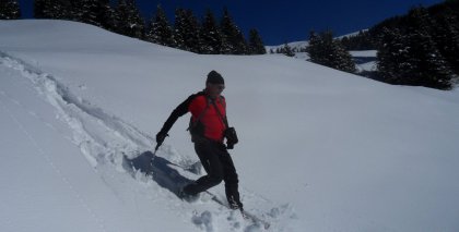 naturhotel-urlaubsfotos-winter-2012-2201--2601 bild#106