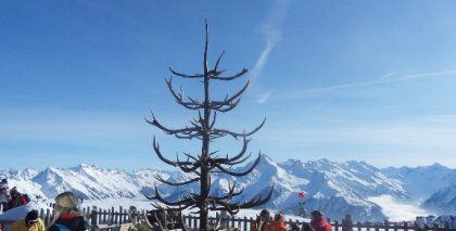 naturhotel-urlaubsfotos-winter-2012-2901--0302 bild#14