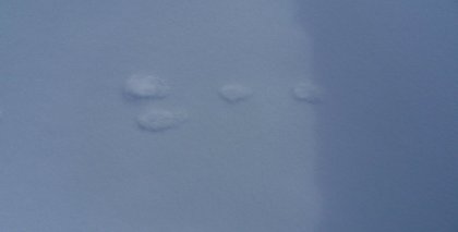 naturhotel-urlaubsfotos-winter-2012-2901--0302 bild#40