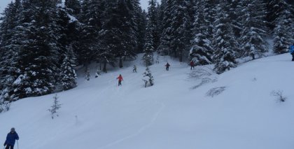 naturhotel-urlaubsfotos-winter-2012-2901--0302 bild#70