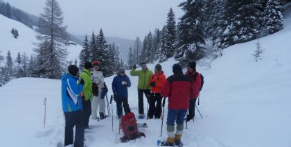 naturhotel-urlaubsfotos-winter-2012-2901--0302 bild#73