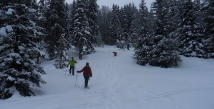 naturhotel-urlaubsfotos-winter-2012-2901--0302 bild#74