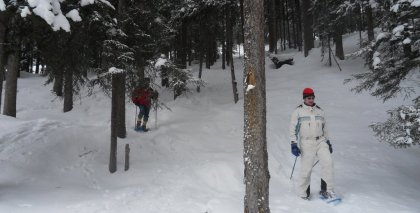 naturhotel-urlaubsfotos-winter-2012-2901--0302 bild#76