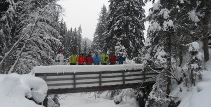 naturhotel-urlaubsfotos-winter-2012-2901--0302 bild#84