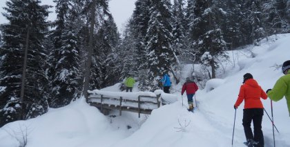naturhotel-urlaubsfotos-winter-2012-2901--0302 bild#85
