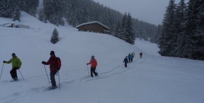 naturhotel-urlaubsfotos-winter-2012-2901--0302 bild#87
