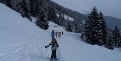 naturhotel-urlaubsfotos-winter-2012-0502--1002 bild#43