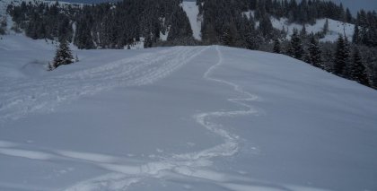 naturhotel-urlaubsfotos-winter-2012-0502--1002 bild#61