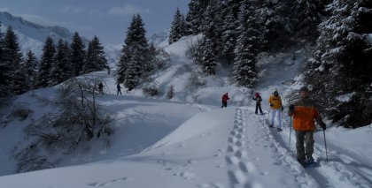 naturhotel-urlaubsfotos-winter-2012-0502--1002 bild#62