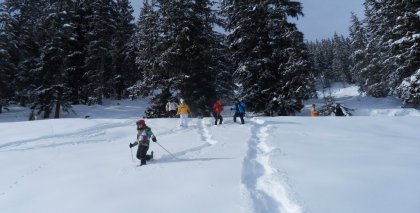 naturhotel-urlaubsfotos-winter-2012-0502--1002 bild#64