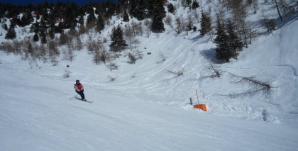naturhotel-urlaubsfotos-winter-2012-0502--1002 bild#83