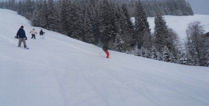 naturhotel-urlaubsfotos-winter-2012-0502--1002 bild#97