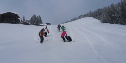 naturhotel-urlaubsfotos-winter-2012-0502--1002 bild#100