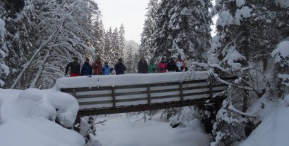 naturhotel-urlaubsfotos-winter-2012-0502--1002 bild#105