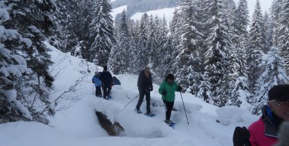 naturhotel-urlaubsfotos-winter-2012-0502--1002 bild#106