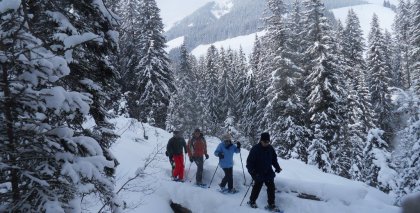 naturhotel-urlaubsfotos-winter-2012-0502--1002 bild#107