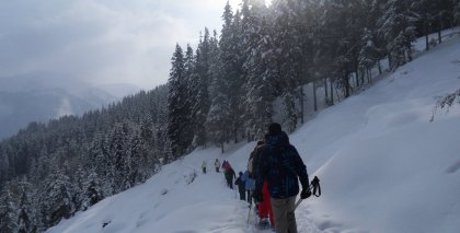 naturhotel-urlaubsfotos-winter-2012-0502--1002 bild#108