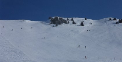naturhotel-urlaubsfotos-winter-2012-1202--1602 bild#6