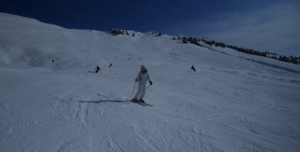 naturhotel-urlaubsfotos-winter-2012-1202--1602 bild#9