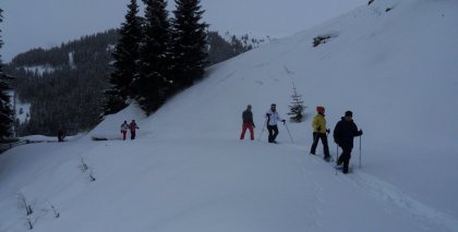 sdc10415