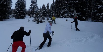 naturhotel-urlaubsfotos-winter-2012-1202--1602 bild#62
