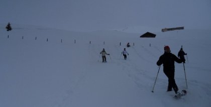 naturhotel-urlaubsfotos-winter-2012-1202--1602 bild#71
