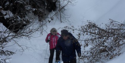 naturhotel-urlaubsfotos-winter-2012-1202--1602 bild#78