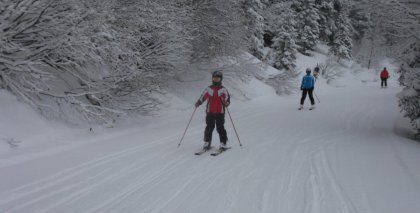 naturhotel-urlaubsfotos-winter-2012-2602--0101 bild#2