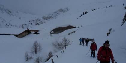 naturhotel-urlaubsfotos-winter-2012-2602--0101 bild#51