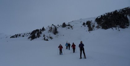 naturhotel-urlaubsfotos-winter-2012-2602--0101 bild#60