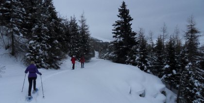 naturhotel-urlaubsfotos-winter-2012-2602--0101 bild#61