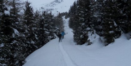 naturhotel-urlaubsfotos-winter-2012-2602--0101 bild#63