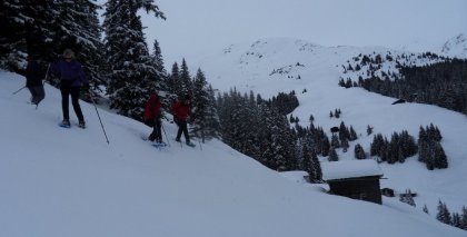 naturhotel-urlaubsfotos-winter-2012-2602--0101 bild#64