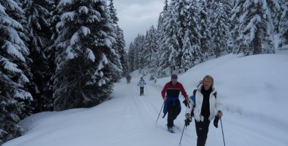 naturhotel-urlaubsfotos-winter-2012-0503--0803 bild#10