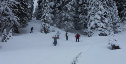 naturhotel-urlaubsfotos-winter-2012-0503--0803 bild#13