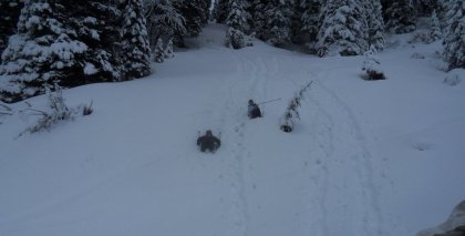 naturhotel-urlaubsfotos-winter-2012-0503--0803 bild#15
