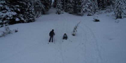 naturhotel-urlaubsfotos-winter-2012-0503--0803 bild#16