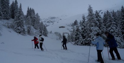 naturhotel-urlaubsfotos-winter-2012-0503--0803 bild#17
