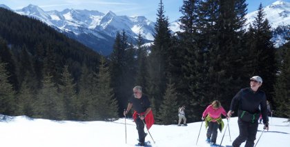 naturhotel-urlaubsfotos-winter-2012-1503 bild#7