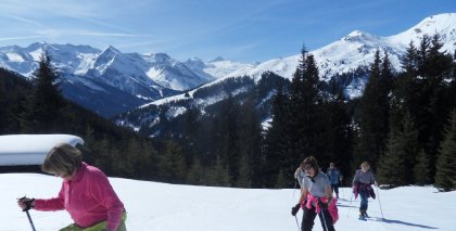 naturhotel-urlaubsfotos-winter-2012-1503 bild#8