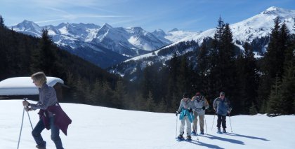 naturhotel-urlaubsfotos-winter-2012-1503 bild#9