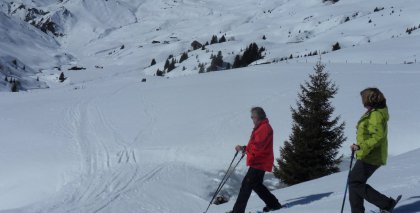naturhotel-urlaubsfotos-winter-2012-1503 bild#24