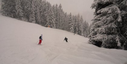 naturhotel-urlaubsfotos-winter-2012-1903--2303 bild#48