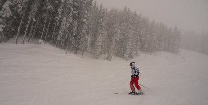 naturhotel-urlaubsfotos-winter-2012-1903--2303 bild#58