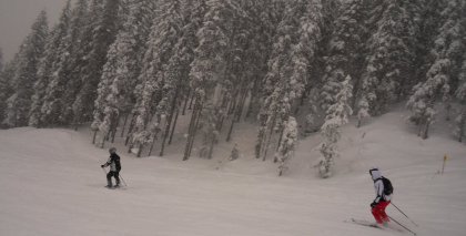 naturhotel-urlaubsfotos-winter-2012-1903--2303 bild#59