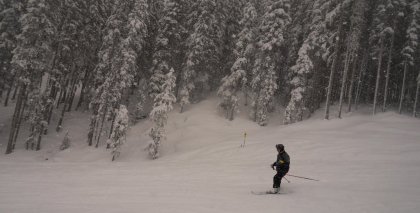 naturhotel-urlaubsfotos-winter-2012-1903--2303 bild#61