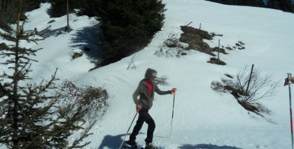 naturhotel-urlaubsfotos-winter-2012-1903--2303 bild#105
